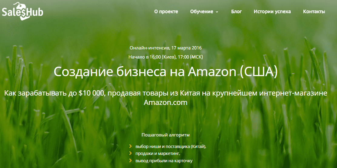 2016-03-10 23-36-04 Интенсив - SalesHub — Opera.png