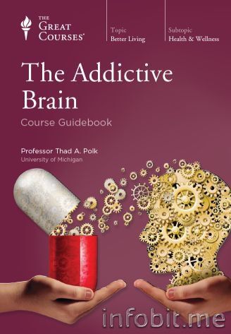 Addictive brain.jpg