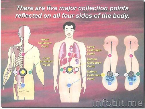 Collection points in body.jpg