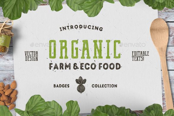 Envatomarket - Organic farm & eco food badges.jpg