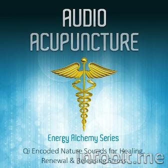 iTunesCoverArt_AudioAcupuncture-1.jpg