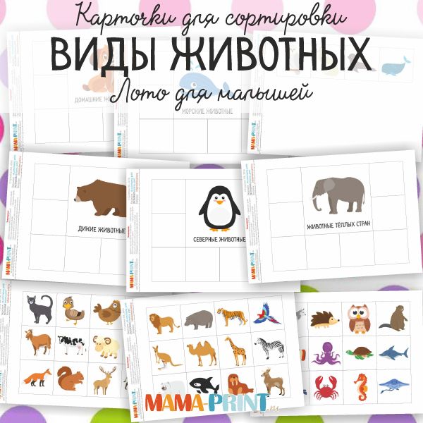 Mama-print - Домашние, дикие, морские, северные, животные тёплых стран.jpeg