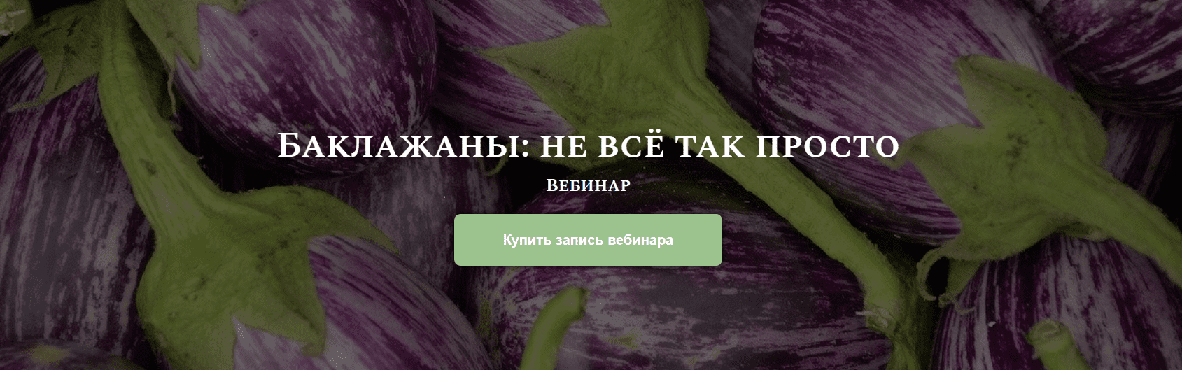 Снимок экрана 2021-08-17 131551.png