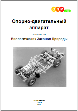 Умное здоровье - Опорно-двигательный аппарат в контексте биологических законов природы.png