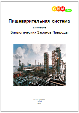 Умное здоровье - Пищеварительная система в контексте биологических законов природы.png