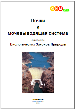 Умное здоровье - Почки и мочевыводящая система в контексте биологических законов природы.png