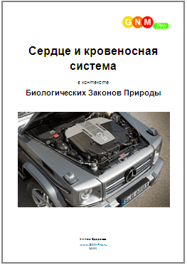 Умное здоровье - Сердце и кровеносная система в контексте биологических законов природы.png