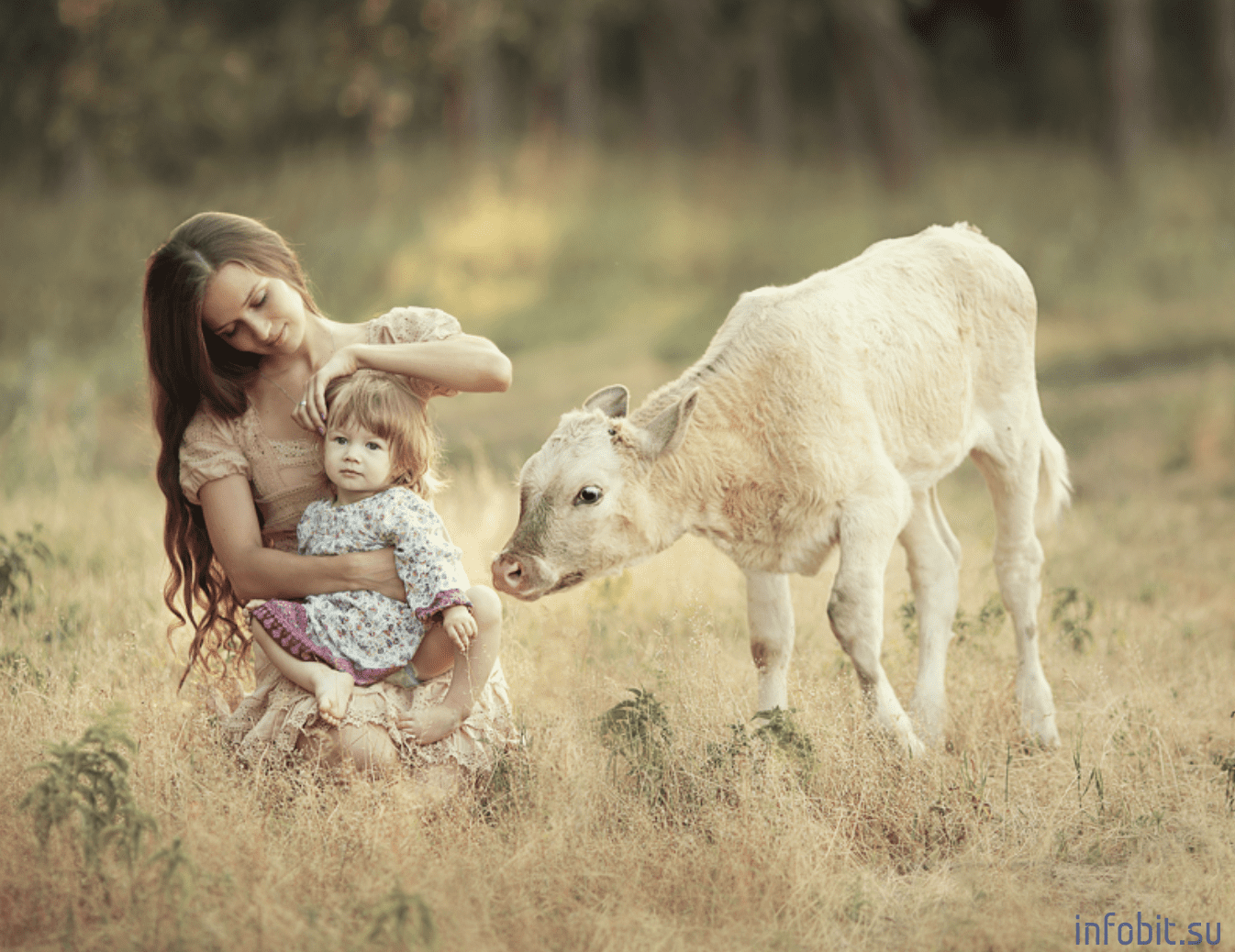 Елена карнеева фотографии