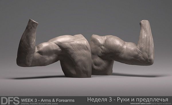 week3_arms_zbrush_1(600x3).jpg