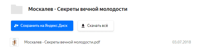 Yandex.png