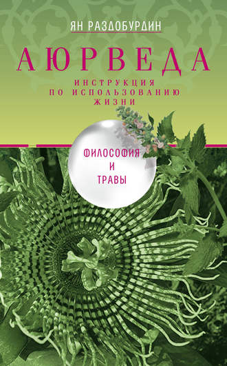 cv0.litres.ru_pub_c_elektronnaya_kniga_cover_330_6493201_yan_r84af6cac127f585f22ce91a6b41ff2ce.jpg