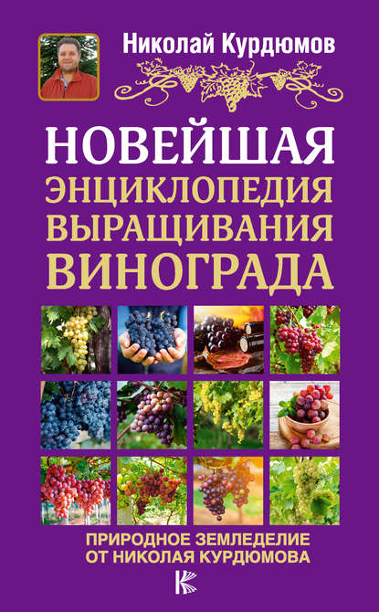 cv0.litres.ru_static_bookimages_36_93_52_36935208.bin.dir_36935208.cover_415.jpg