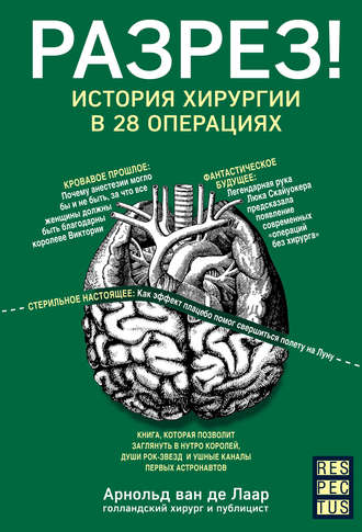 cv3.litres.ru_pub_c_elektronnaya_kniga_cover_330_39428839_arno7ed2fd04c6919233bb48fc96cc402e24.jpg