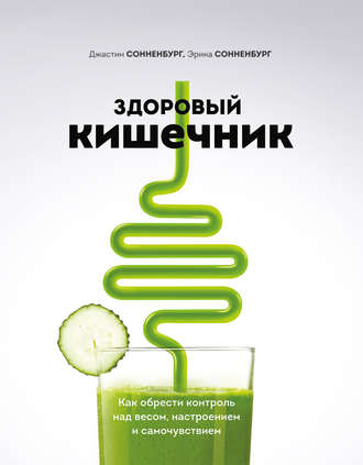 cv7.litres.ru_pub_c_elektronnaya_kniga_cover_330_39956271_dzha3b79f44347c8b66dd16dfc1b677d26de.jpg