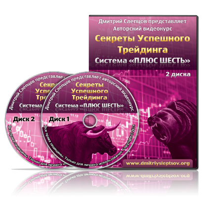 dmitriysleptsov.com_images_moneyandbusiness_Plus6System_Plus6SystemDisk.png