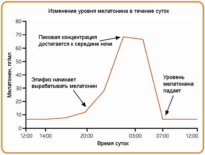 habrastorage.org_getpro_habr_post_images_7f2_a75_165_7f2a75165693c6c5fddd698db52e40b1.jpg