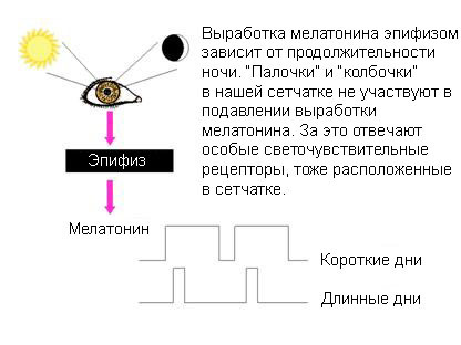 habrastorage.org_getpro_habr_post_images_a87_377_658_a87377658eb850a49c99ca923f58b98b.jpg