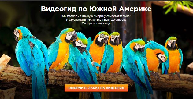 i11.pixs.ru_storage_9_0_5_Noviytoche_9224026_23390905.jpg