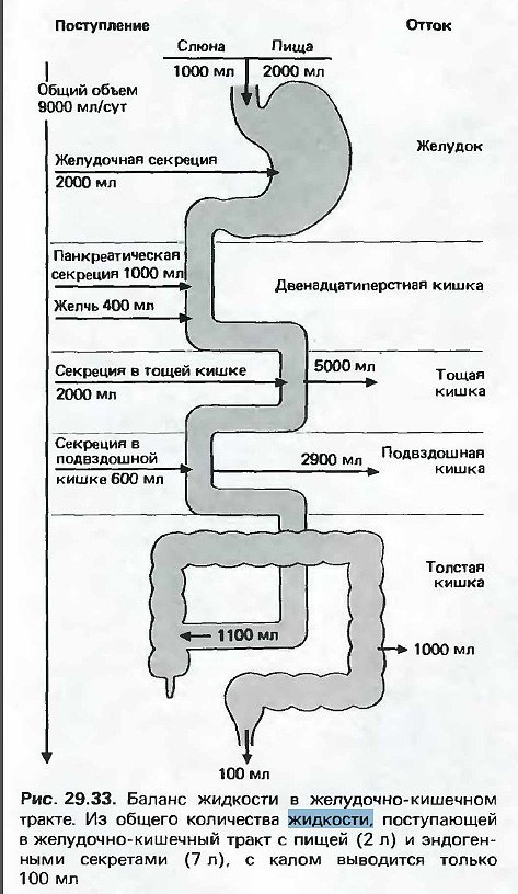 makataka.ru_uploads_posts_2016_01_1454238823_voda_eda2_min.jpg