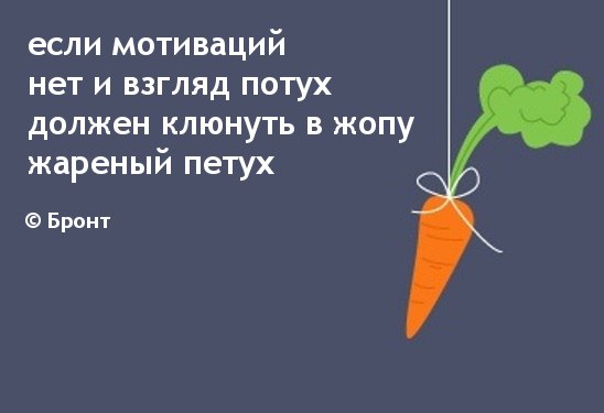 pp.vk.me_c633530_v633530860_1d380__iYQIJyw4Ko.jpg