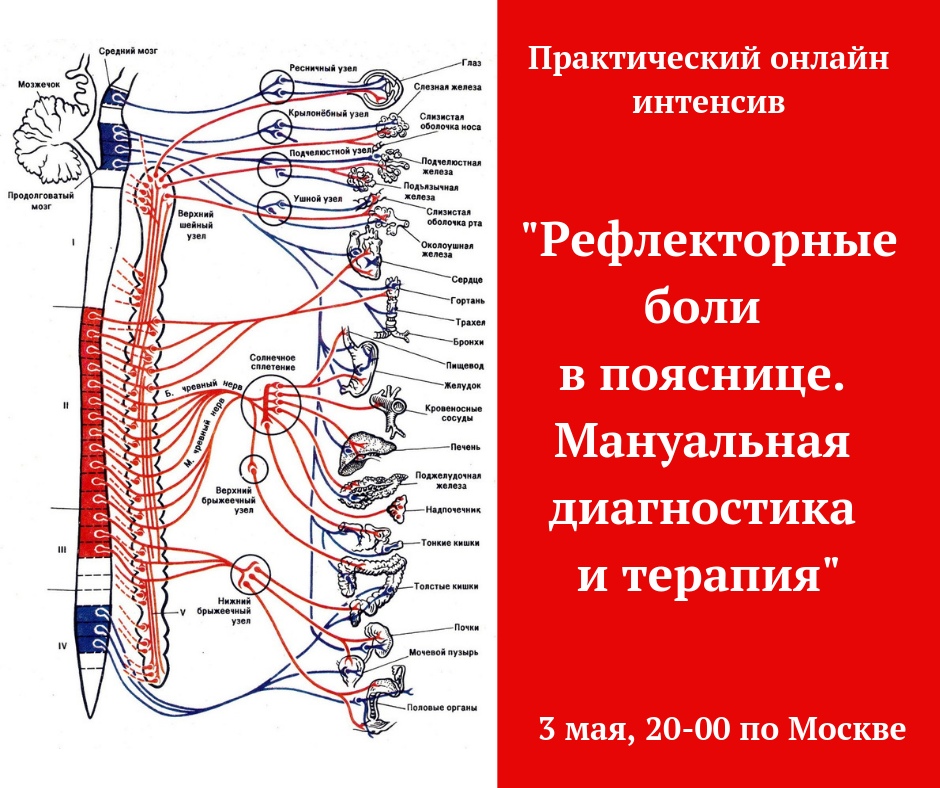 skladchik_com_attachments_27_gqhgebtk_jpg_472944__.jpg