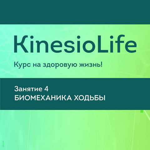 skladchik_com_attachments_kinesiolife_4_jpg_624877__.jpg