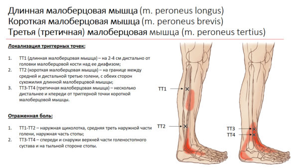 skladchik_com_attachments_metoda1_600x337_jpg_620125__.jpg