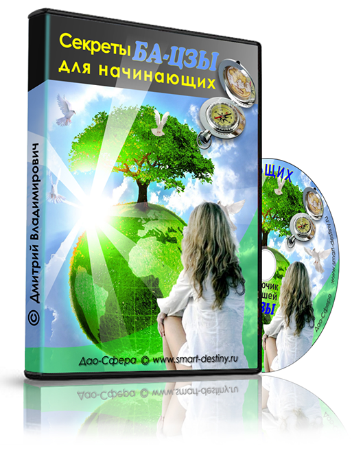 smart_destiny.ru_super_webinar_images_dvd_2_korobka_2.png