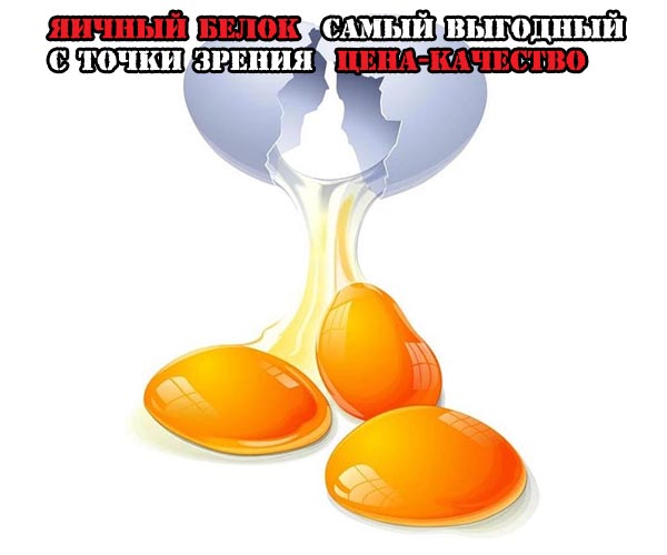 www.fit4life.ru_wp_content_uploads_2012_09_egg_01.jpg