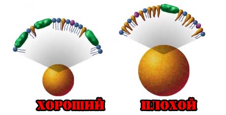 www.fit4life.ru_wp_content_uploads_2012_09_egg_03.jpg