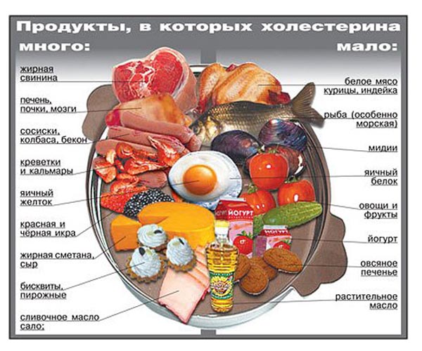 www.fit4life.ru_wp_content_uploads_2012_09_egg_04.jpg