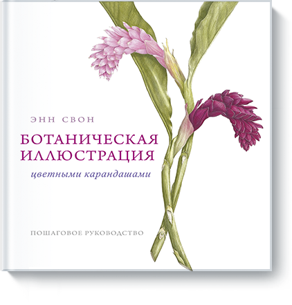 www.mann_ivanov_ferber.ru_assets_images_books_new_botanicheska62b28553abcd652e7fe34f9570de1774.png