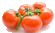 www.sadby.org_ur_for_20vege_pomid.png