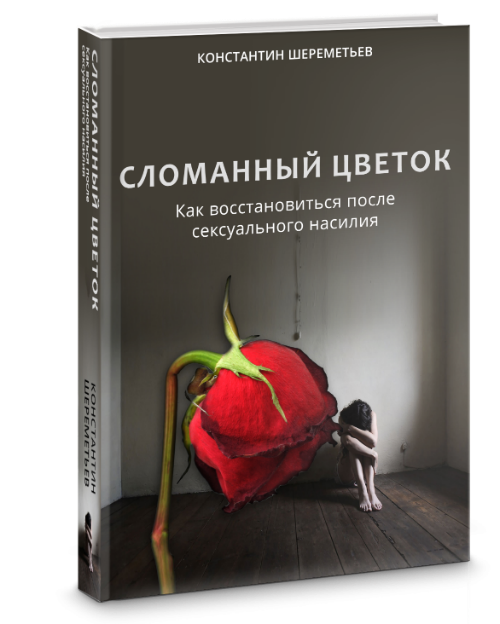 www.sheremetev.info_op_wp_content_uploads_2018_08_3d_book_mini.png