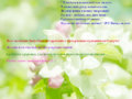 Amazing_Flowers_Wallpapers_67_Be_strong_Japan_whiteversion.jpg