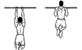 Close_Grip_Pullup_Chinup.png