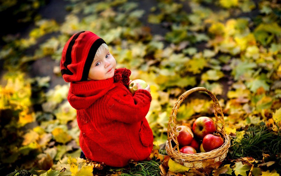 209555__apple-harvest_p.jpg