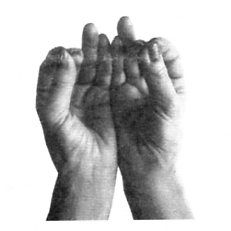 87018167_mudra_izobiliya.jpg