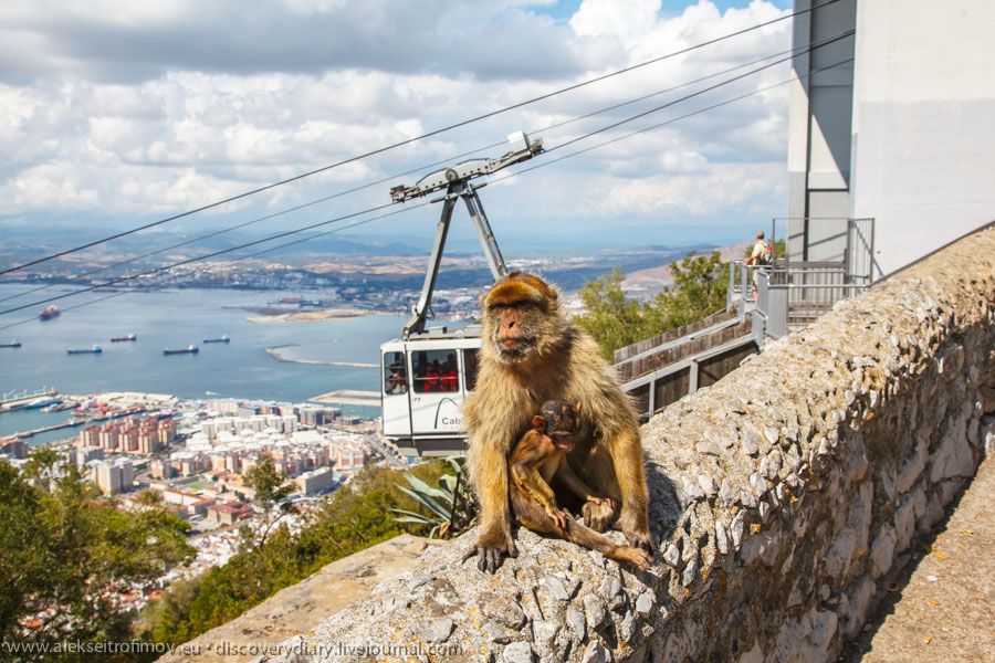 IMG_35739-GIBRALTAR.JPG